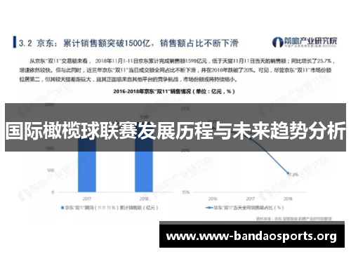 国际橄榄球联赛发展历程与未来趋势分析