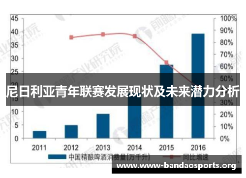 尼日利亚青年联赛发展现状及未来潜力分析