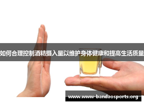 如何合理控制酒精摄入量以维护身体健康和提高生活质量