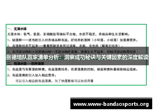 张德培队赢家清单分析：洞察成功秘诀与关键因素的深度解读