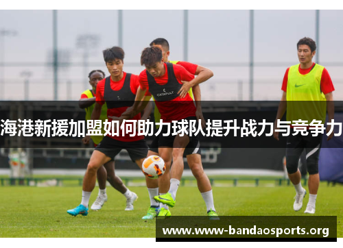 海港新援加盟如何助力球队提升战力与竞争力