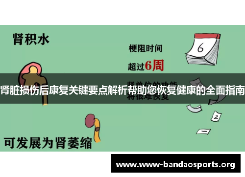 肾脏损伤后康复关键要点解析帮助您恢复健康的全面指南