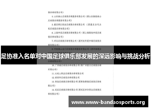 足协准入名单对中国足球俱乐部发展的深远影响与挑战分析