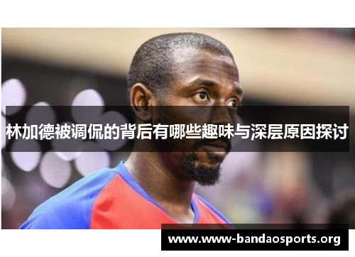 林加德被调侃的背后有哪些趣味与深层原因探讨