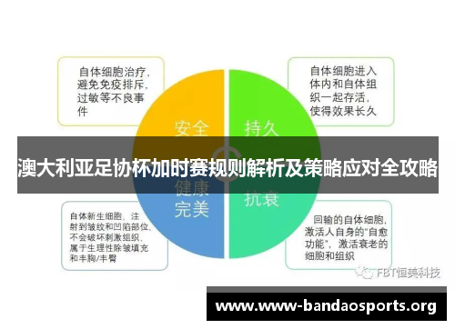 澳大利亚足协杯加时赛规则解析及策略应对全攻略