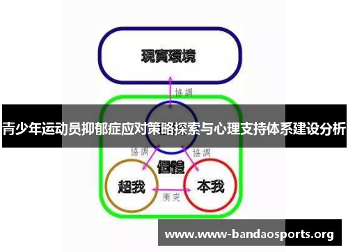 青少年运动员抑郁症应对策略探索与心理支持体系建设分析