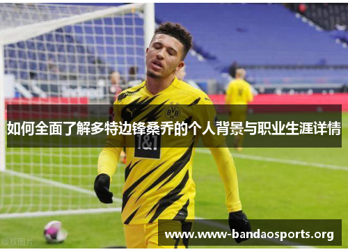 如何全面了解多特边锋桑乔的个人背景与职业生涯详情